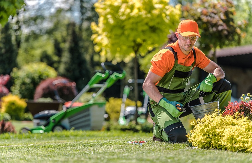 IMPORTANT FACTORS TO EVALUATE WHEN CHOOSING A LANDSCAPING COMPANY