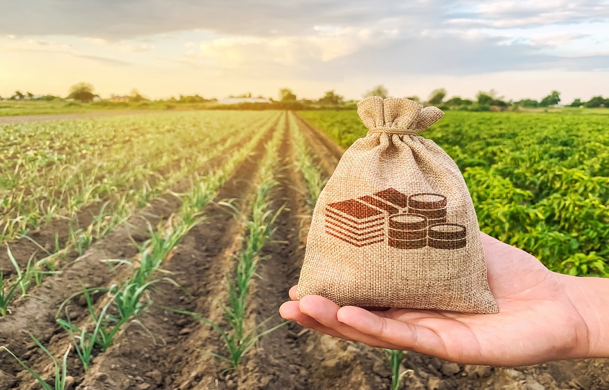 Navigating Complexity in the Global Beef Trade